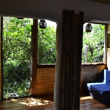 Habitacion Las Bromelias, Pijao, Finca Flora Del Rio Exterior photo